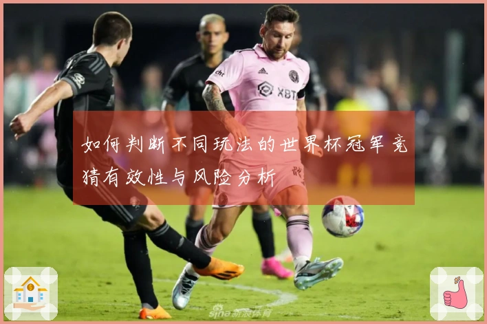 如何判断不同玩法的世界杯冠军竞猜有效性与风险分析