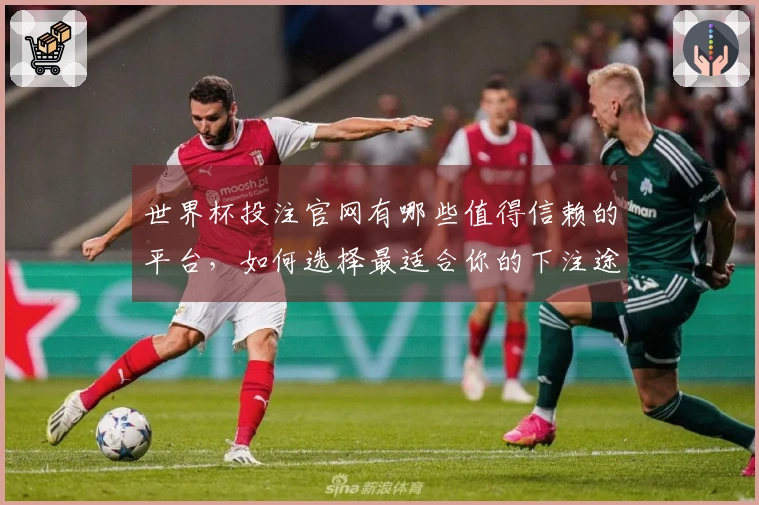 世界杯投注官网有哪些值得信赖的平台，如何选择最适合你的下注途径？