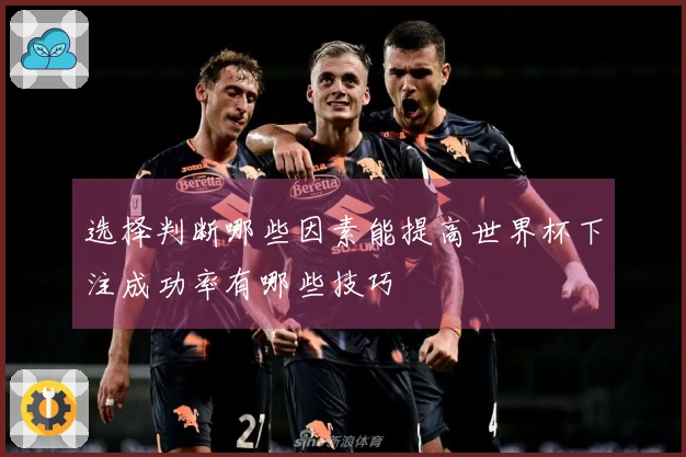 选择判断哪些因素能提高世界杯下注成功率有哪些技巧