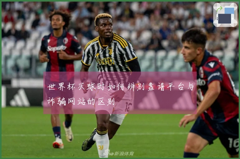 世界杯买球时如何辨别靠谱平台与诈骗网站的区别