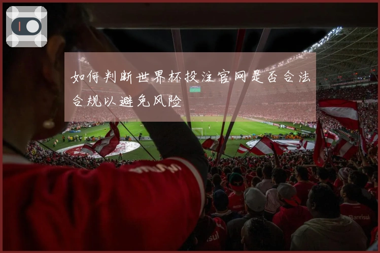 如何判断世界杯投注官网是否合法合规以避免风险