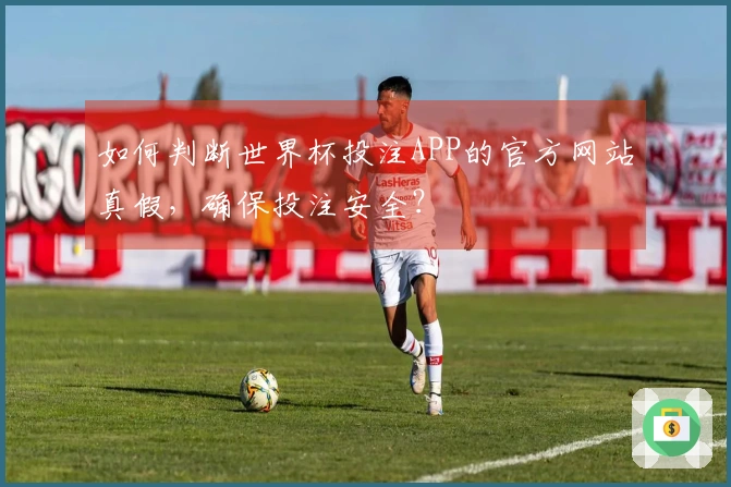 如何判断世界杯投注APP的官方网站真假，确保投注安全？