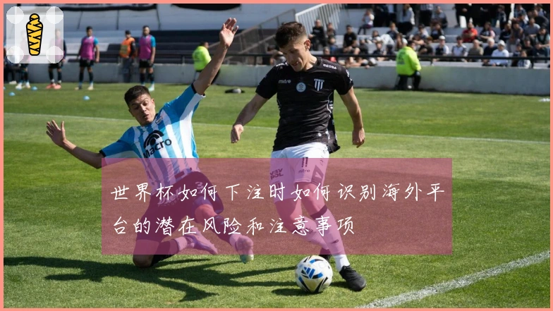 世界杯如何下注时如何识别海外平台的潜在风险和注意事项