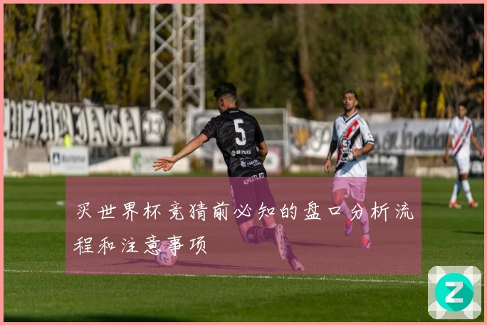 买世界杯竞猜前必知的盘口分析流程和注意事项
