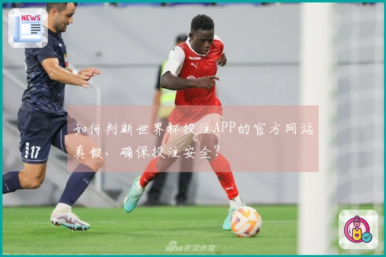 如何判断世界杯投注APP的官方网站真假,确保投注安全?