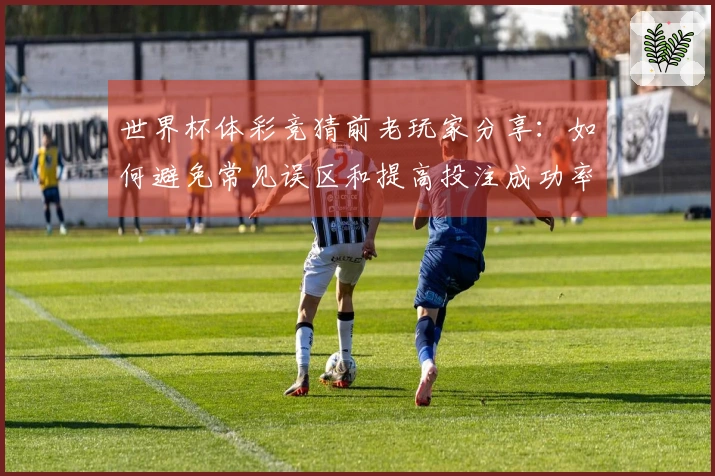 世界杯体彩竞猜前老玩家分享：如何避免常见误区和提高投注成功率
