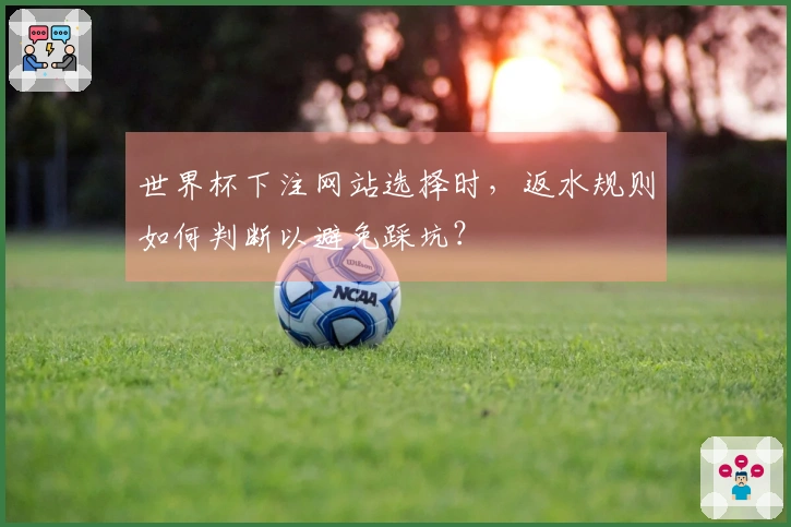 世界杯下注网站选择时，返水规则如何判断以避免踩坑？