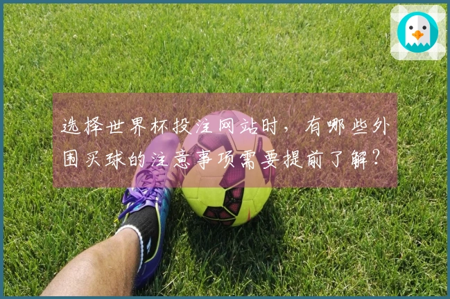 选择世界杯投注网站时，有哪些外围买球的注意事项需要提前了解？
