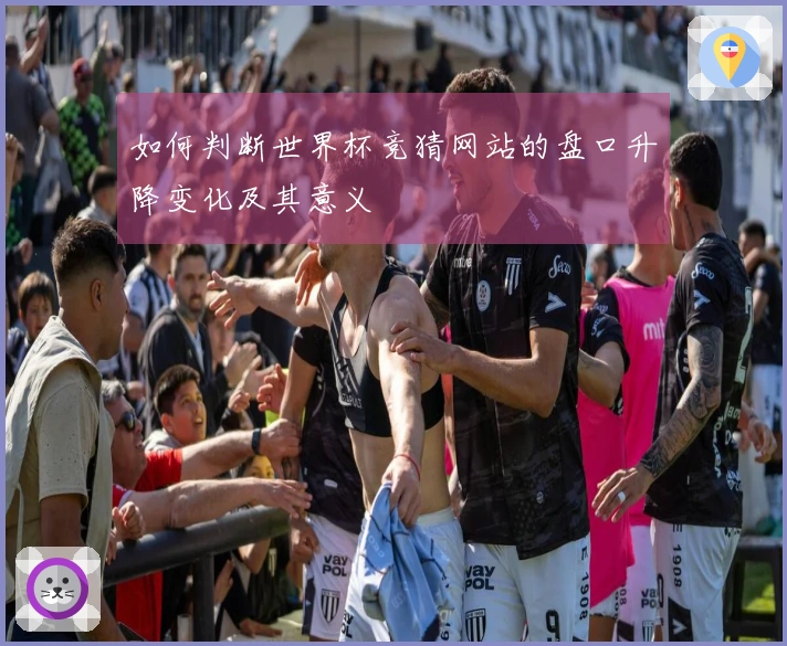 如何判断世界杯竞猜网站的盘口升降变化及其意义