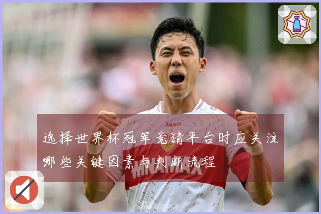 选择世界杯冠军竞猜平台时应关注哪些关键因素与判断流程