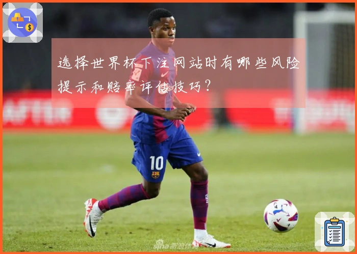 选择世界杯下注网站时有哪些风险提示和赔率评估技巧？