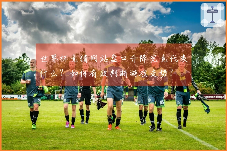 世界杯竞猜网站盘口升降究竟代表什么？如何有效判断游戏走势？