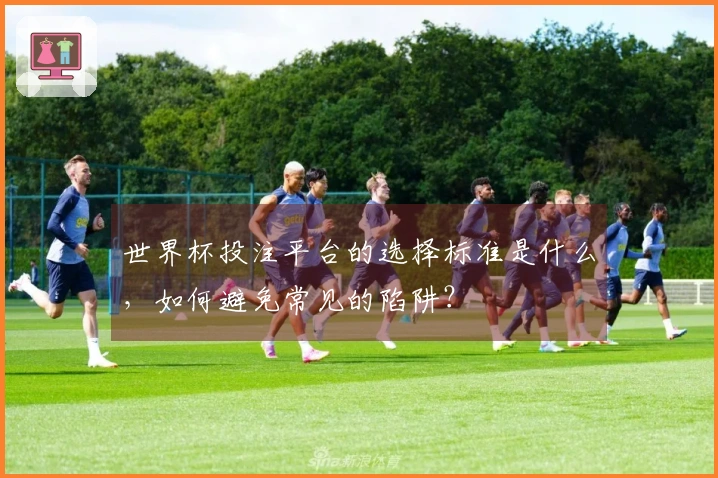 世界杯投注平台的选择标准是什么，如何避免常见的陷阱？