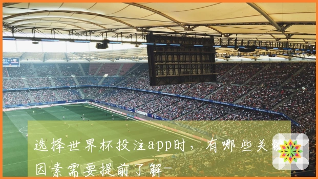 选择世界杯投注app时，有哪些关键因素需要提前了解-