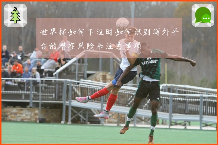 世界杯如何下注时如何识别海外平台的潜在风险和注意事项