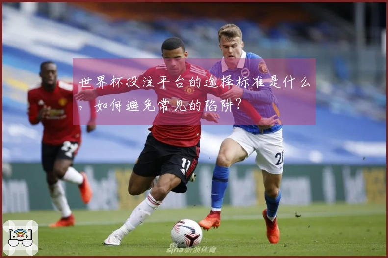 世界杯投注平台的选择标准是什么，如何避免常见的陷阱？