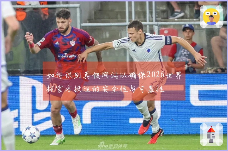 如何识别真假网站以确保2026世界杯官方投注的安全性与可靠性