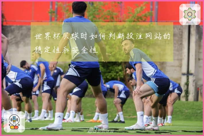 世界杯买球时如何判断投注网站的稳定性和安全性