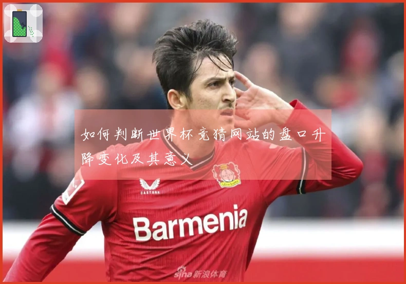 如何判断世界杯竞猜网站的盘口升降变化及其意义