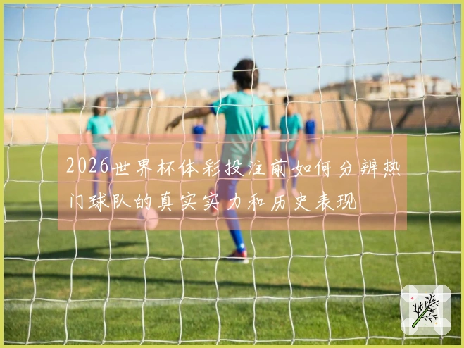 2026世界杯体彩投注前如何分辨热门球队的真实实力和历史表现