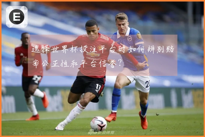 选择世界杯投注平台时如何辨别赔率公正性和平台信誉？