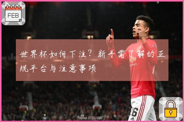 世界杯如何下注？新手需了解的正规平台与注意事项