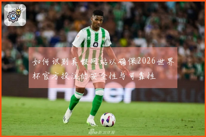 如何识别真假网站以确保2026世界杯官方投注的安全性与可靠性