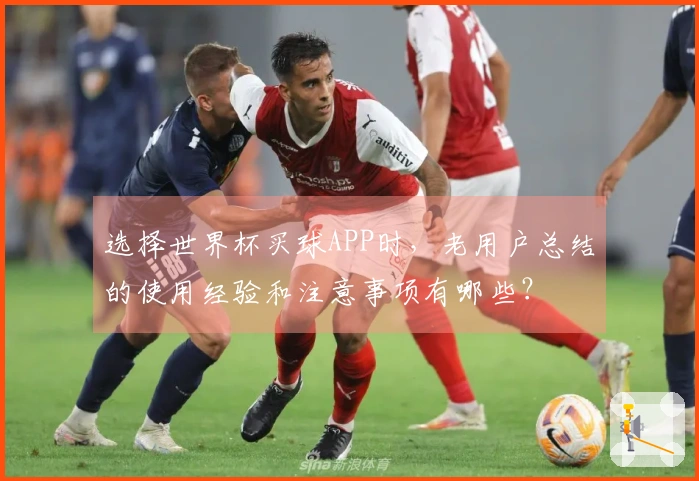 选择世界杯买球APP时,老用户总结的使用经验和注意事项有哪些?
