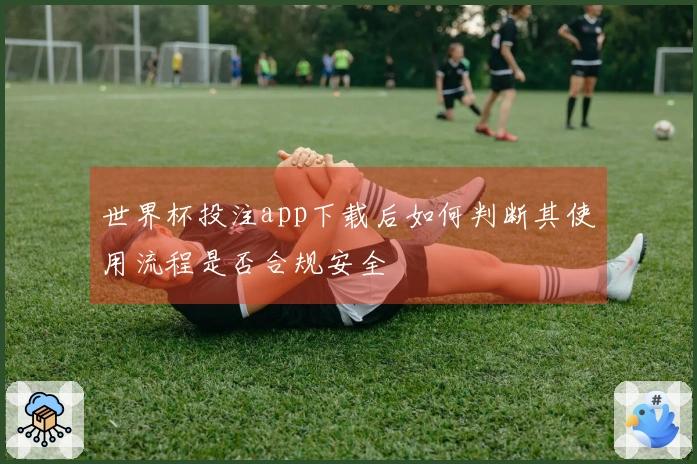 世界杯投注app下载后如何判断其使用流程是否合规安全