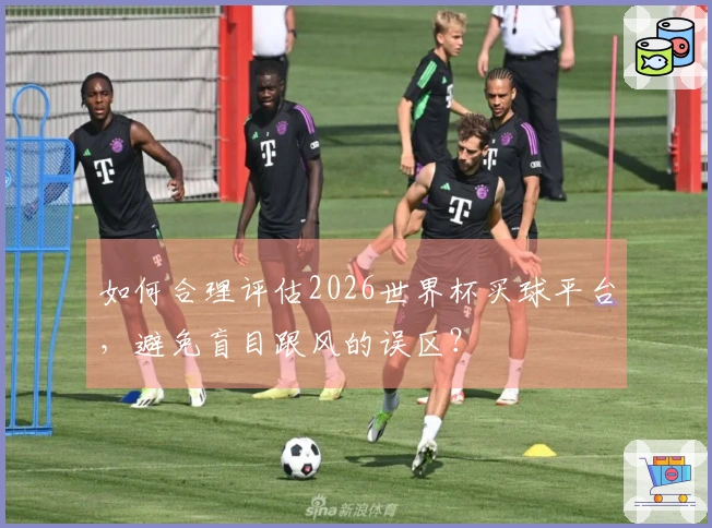 如何合理评估2026世界杯买球平台，避免盲目跟风的误区？