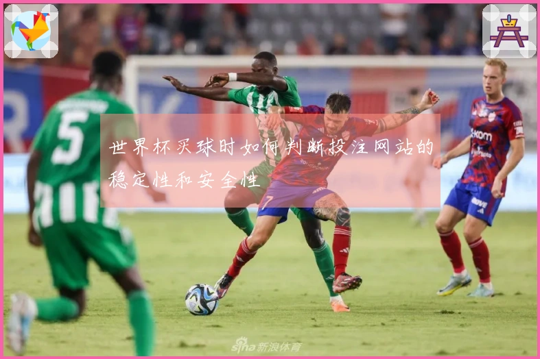 世界杯买球时如何判断投注网站的稳定性和安全性