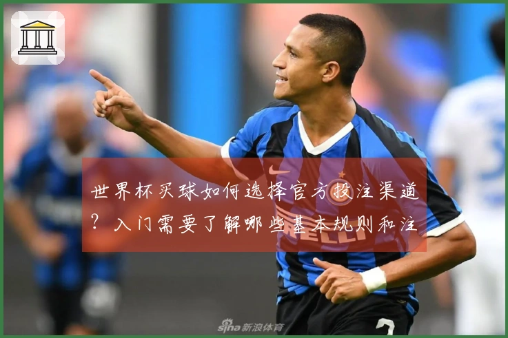 世界杯买球如何选择官方投注渠道？入门需要了解哪些基本规则和注意事项