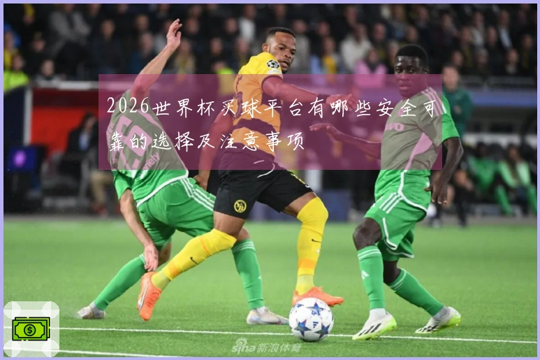 2026世界杯买球平台有哪些安全可靠的选择及注意事项