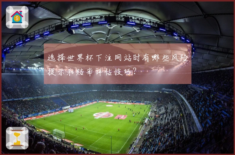 选择世界杯下注网站时有哪些风险提示和赔率评估技巧？